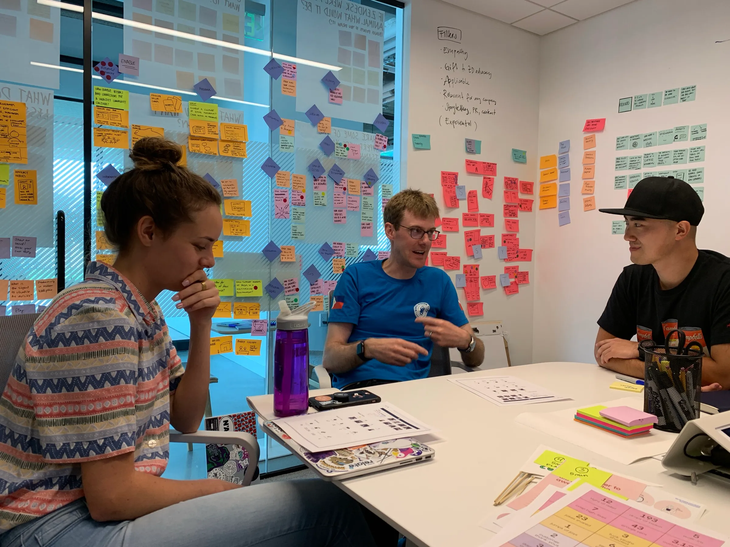 Advocate co-creation and user-interview session
